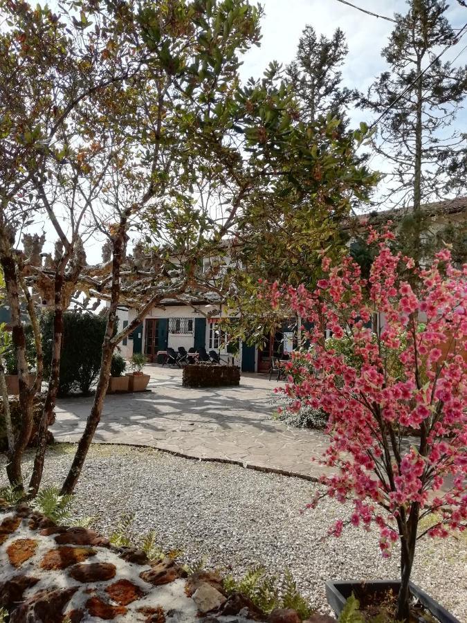 L'Auberge De Lugos Eksteriør billede